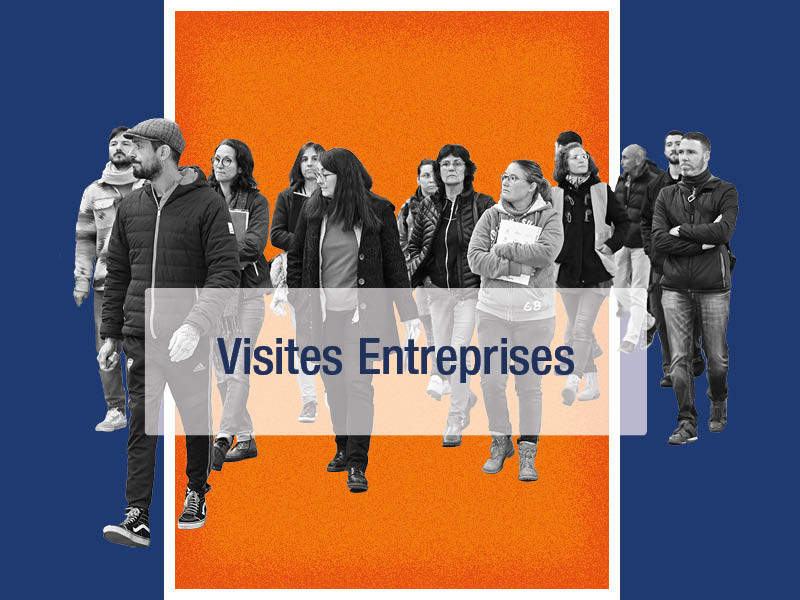 Visites d'entreprises