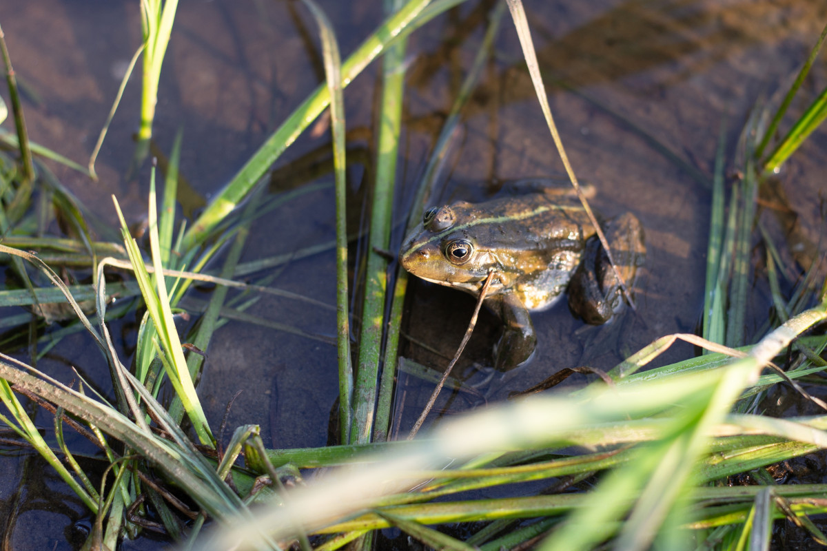 adobestock-1140325167-613 adobestock-1140325167-613