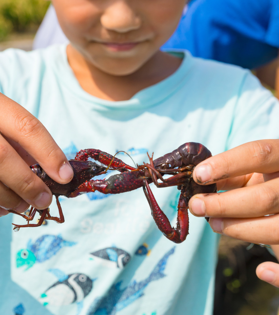 adobestock-373198795-614 adobestock-373198795-614