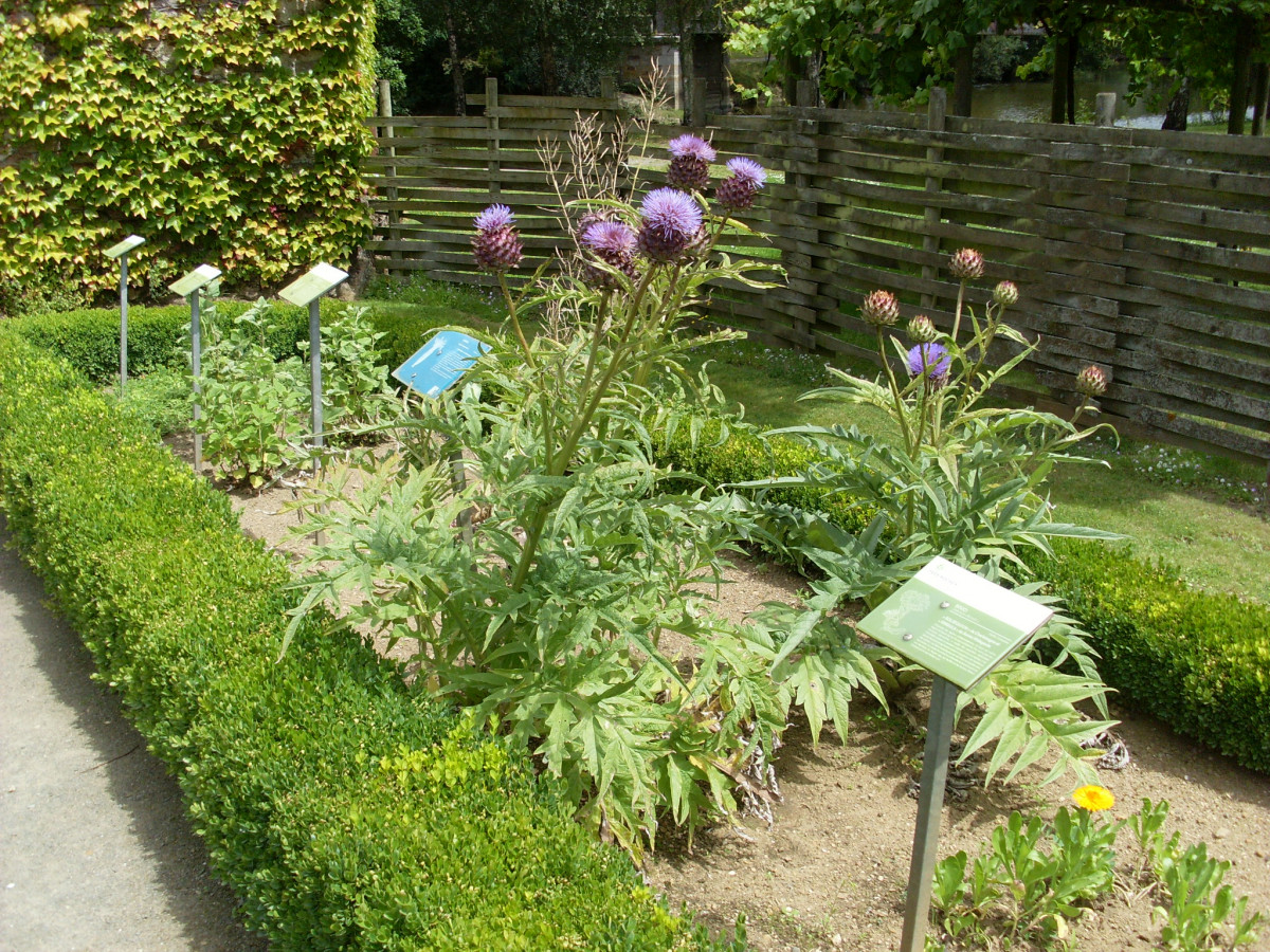 card-re-a-foulon-5-1027