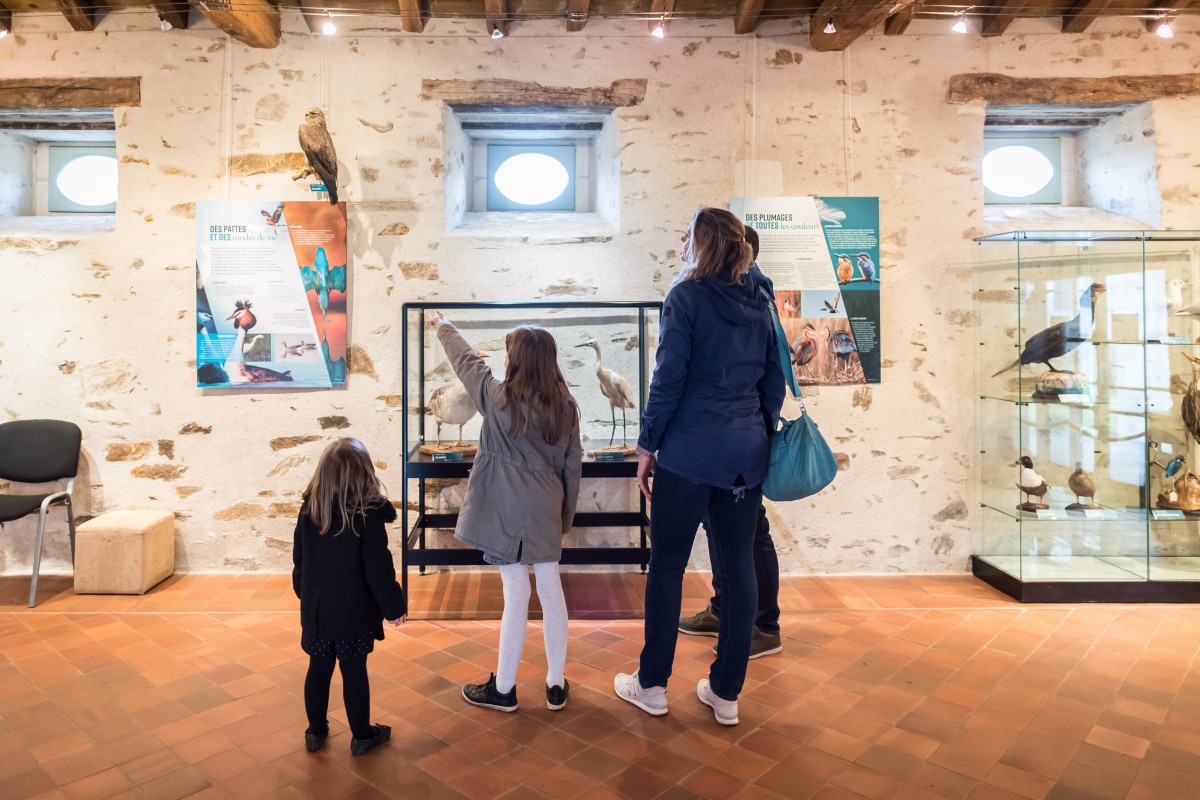 cc-grandlieu-abbatiale-2301210078-9