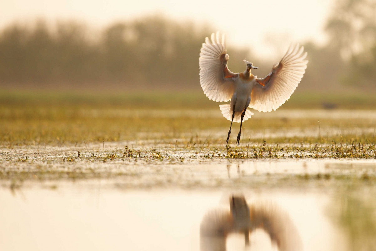 christophe-bourgeteau-exposition-au-fil-de-l-eau-3-1034