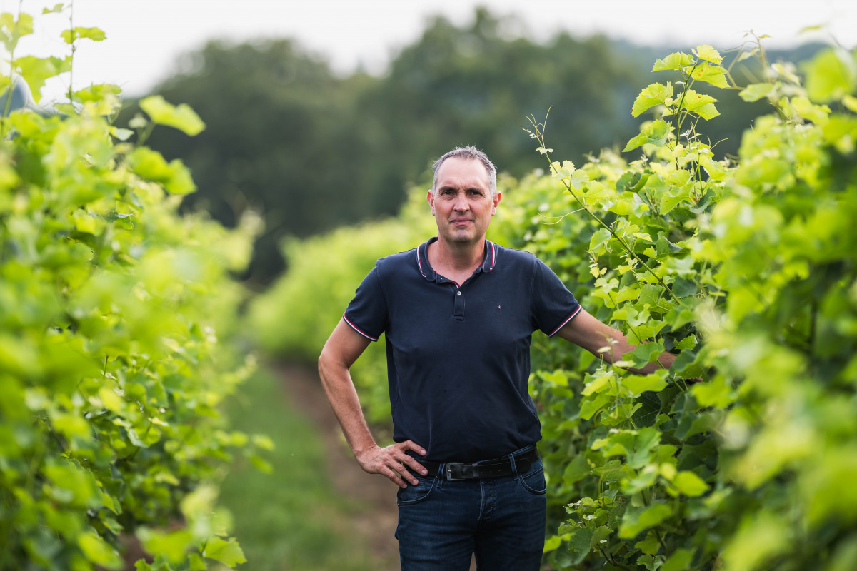 fran-ois-denis-la-limouzini-re-viticulture-29-1036