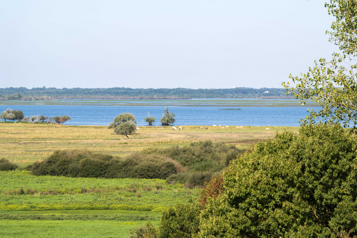 maison-des-pecheurs-2708220046-230 maison-des-pecheurs-2708220046-230