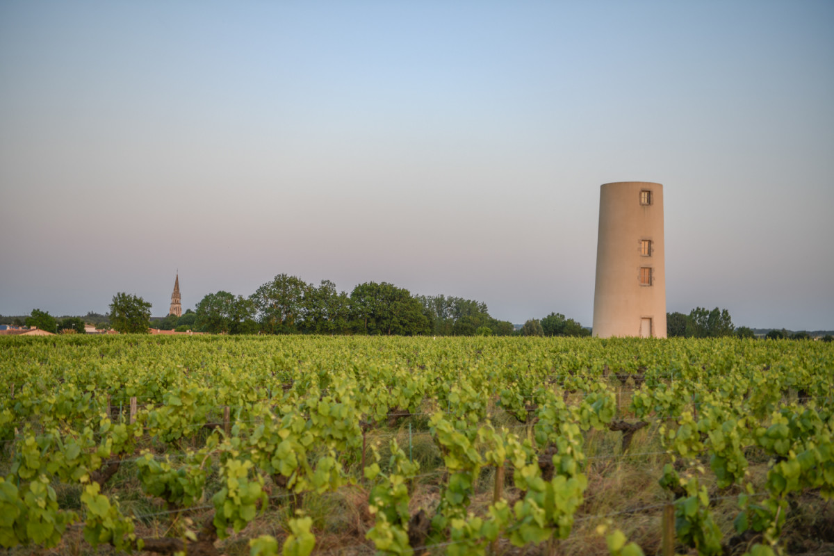 vignoble-malidain-photo-2-526