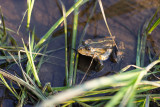 adobestock-1140325167-613