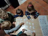 aidons-les-oiseaux-des-jardins-2-copier-1012
