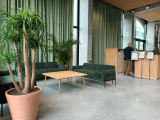 jardins-gally-1-974
