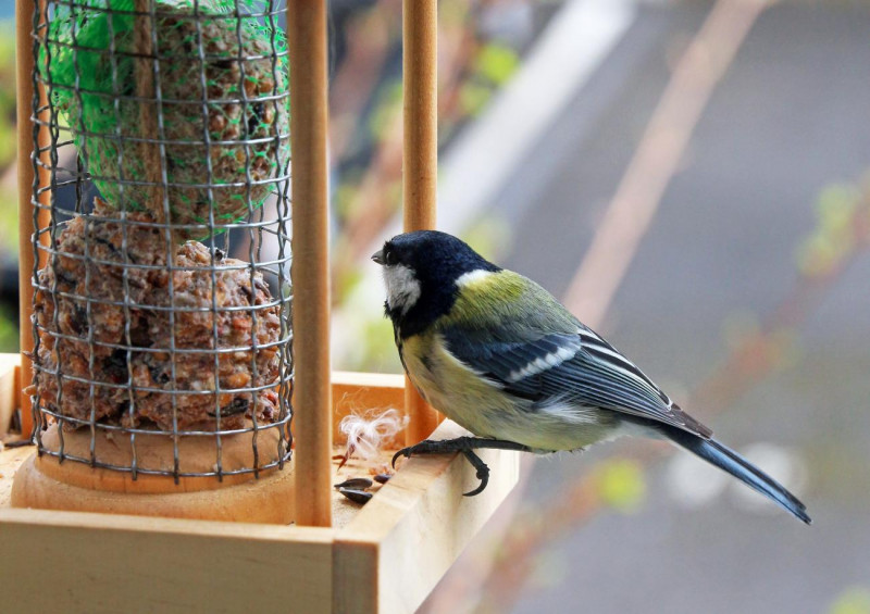 atelier-famille-1018