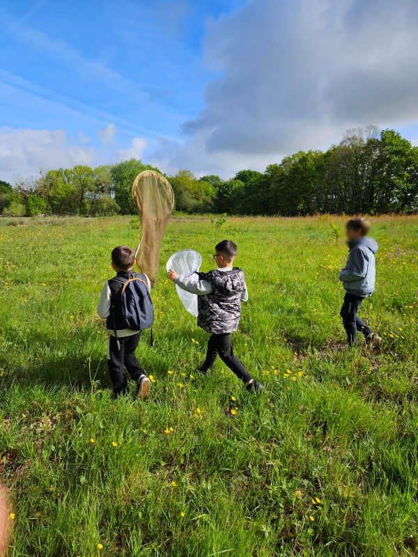 bal-des-herbes-folles-1128