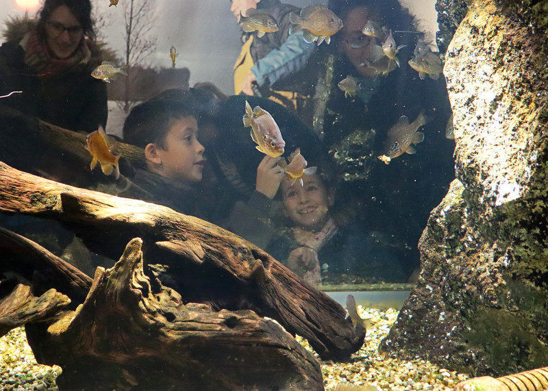 img-0637-611
