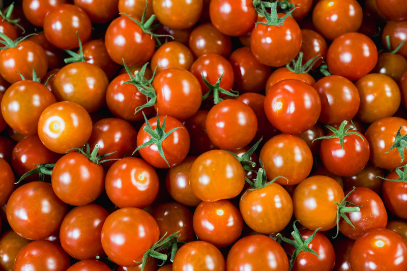 les-serres-du-frety-psm-maraichage-tomates-76-1044